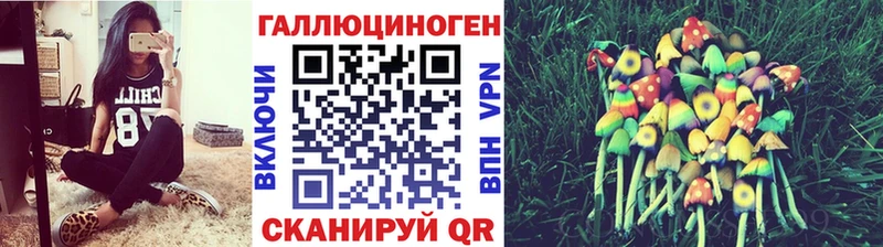 Купить  Щёлкино  Галлюциногенные грибы мицелий 